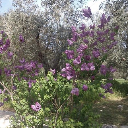 Masseria Costanza Putignano Zewnętrze zdjęcie