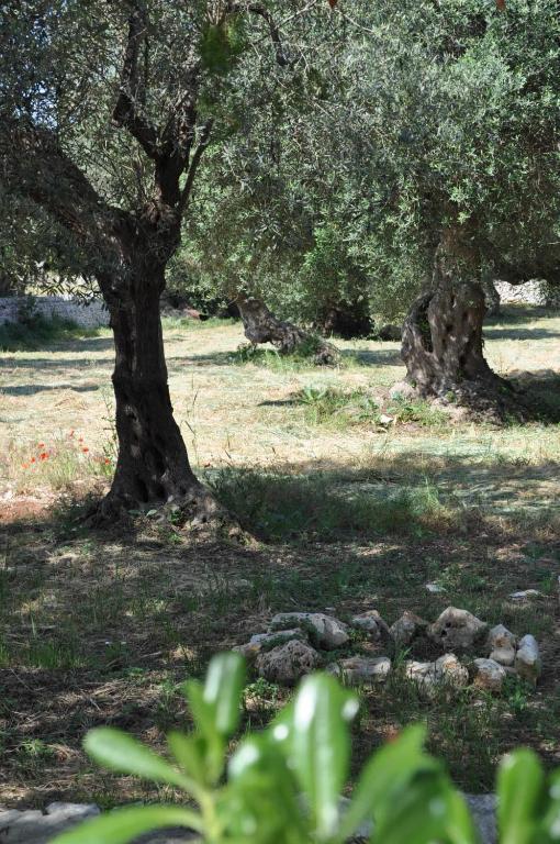 Masseria Costanza Putignano Zewnętrze zdjęcie